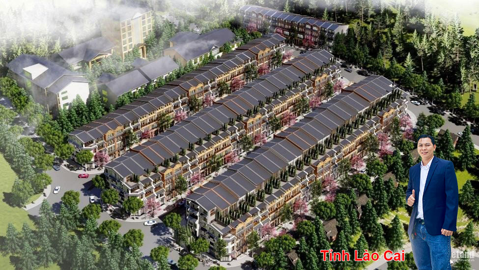 Thông tin thị trường tại Tỉnh Lào Cai