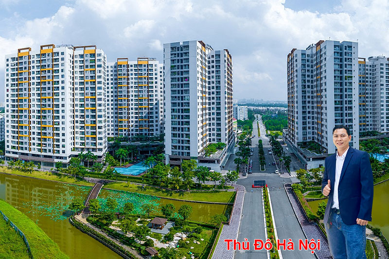 Thông tin thị trường tại Thủ Đô Hà Nội